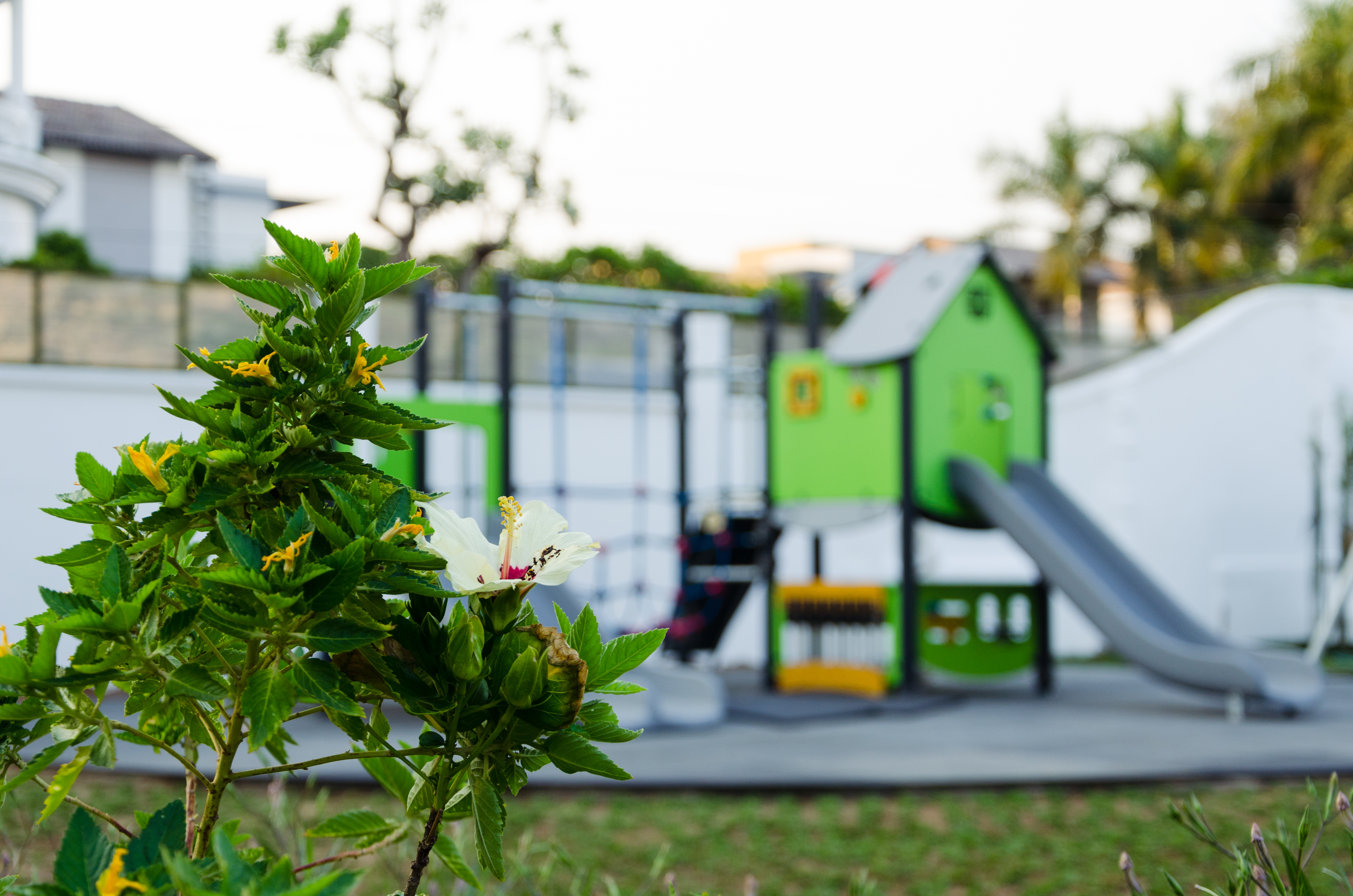 Anne Hill International School’s Summer Camp 2016