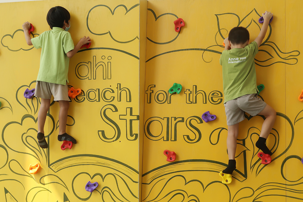 AHI Reach For the Stars Rock Wall